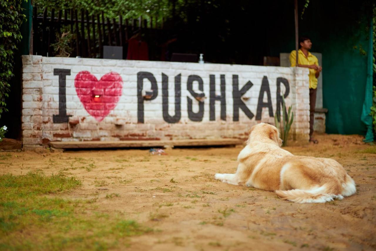 The Hostel Air Pushkar Extérieur photo